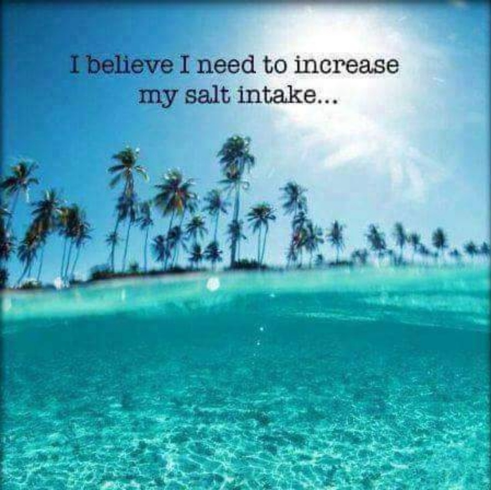 Meet your Posher, Kendy